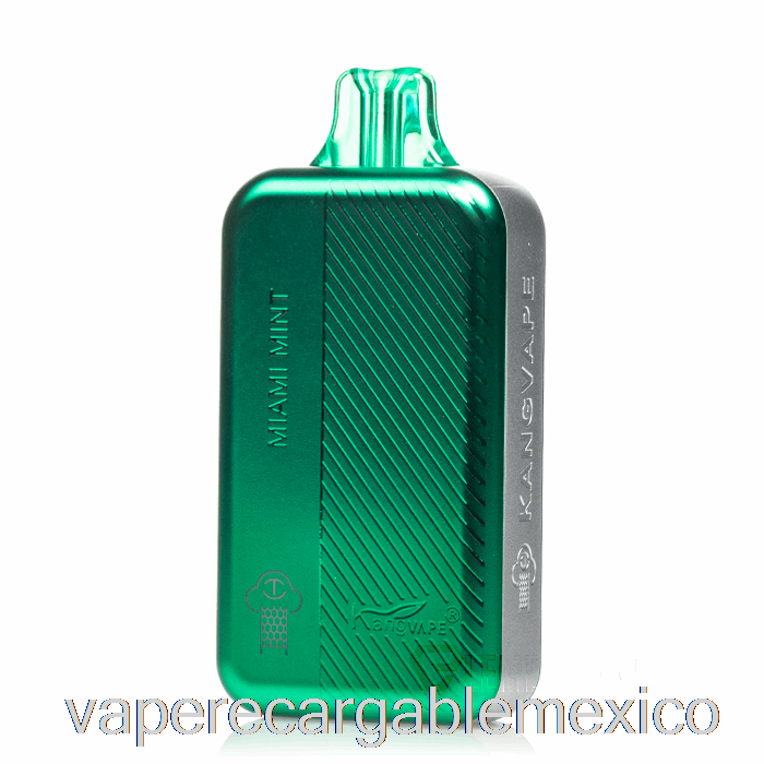 Vaporizador Recargable Kangvape Tc8000 Desechable Miami Mint